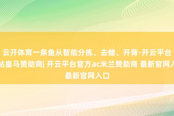 云开体育一条鱼从智能分拣、去鳍、开背-开云平台网站皇马赞助商| 开云平台官方ac米兰赞助商 最新官网入口